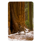 ラバシカ マグネット (縦)