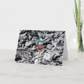 ラバストップワ、ハワイ –  カード (正面)