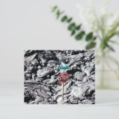 ラバストップワ、ハワイ –  ポストカード (スタンド正面)