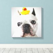 ラバフランスのダック付きブルドッグ キャンバスプリント (インサイチュ (ウッドフロア))