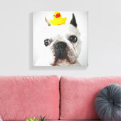 ラバフランスのダック付きブルドッグ キャンバスプリント (インサイチュ (リビング))