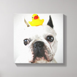 ラバフランスのダック付きブルドッグ キャンバスプリント