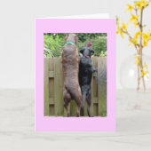 ラバラドール犬カード カード (黄色い花)