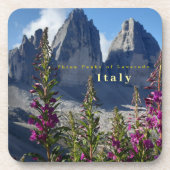 ラバレードワイルドフラワーイタリアの3つのピーク コースター (正面)