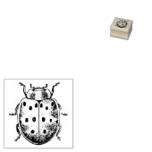 ラバースタンプとヴィンテージラディバグ ラバースタンプ (押印)