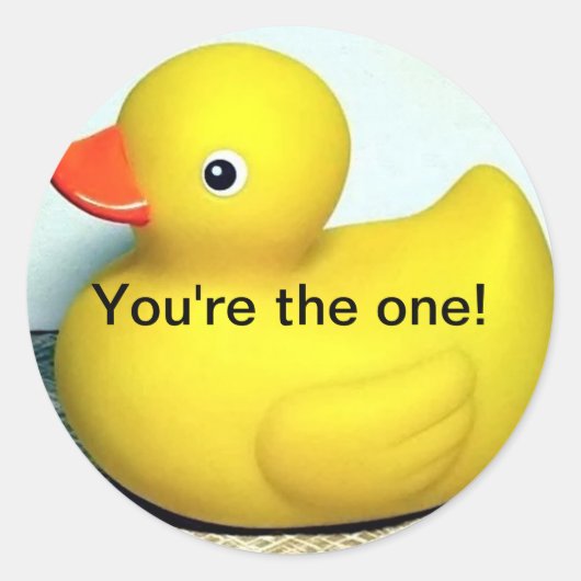 ラバーダッキーかわいいキッズ玩具 ラウンドシール (正面)