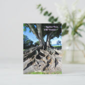 ラバーツリーカーブルーツフォートマイヤーズ葉書 ポストカード (スタンド正面)