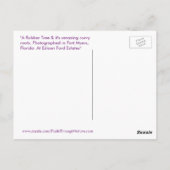 ラバーツリーカーブルーツフォートマイヤーズ葉書 ポストカード (裏面)