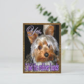 ラバーバンドなしヨークシャーテリア ポストカード (スタンド正面)