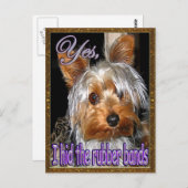 ラバーバンドなしヨークシャーテリア ポストカード (正面/裏面)