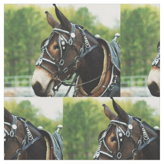 ラバ日 ファブリック (クローズアップ)