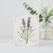 ラバ絵を描ンドゥラヴェラセレニティアンドカム (スタンド正面)