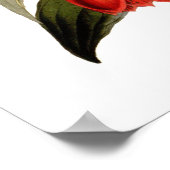 ラパジェリア・ロシー ポスター (角)