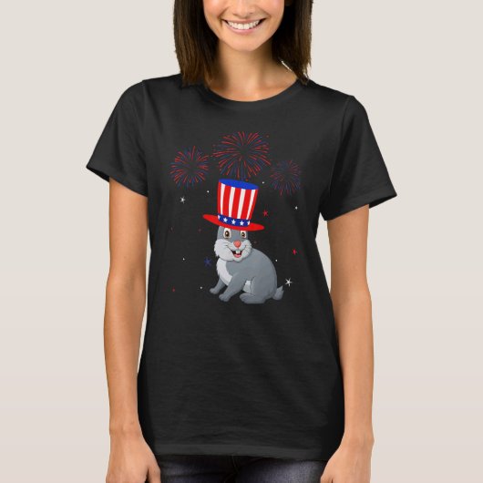 ラビットグラフィック赤白青花火大会4th tシャツ (正面)