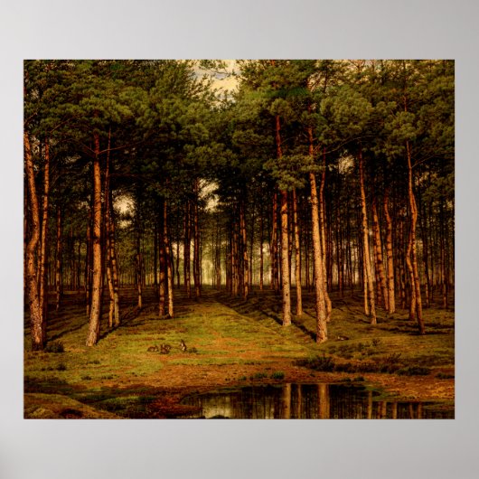 ラビットジャンラモリニエールとプッテのモールフォレスト ポスター (正面)