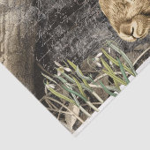 ラビットスノードロップフラワーズ春フランスのスクリプトクラフト 薄葉紙 (詳細)