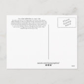 ラビットネコの年レモンライム シーズンポストカード (裏面)