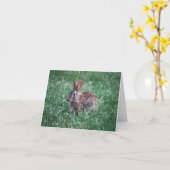 ラビットノテカード カード (黄色い花)