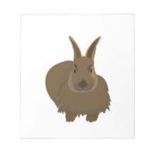 ラビットバニー