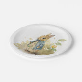 ラビットピーターパーティー紙プレート ペーパープレート (アングル)