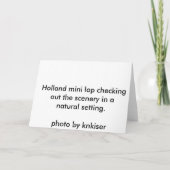 ラビットホリデーカード シーズンカード (裏面)