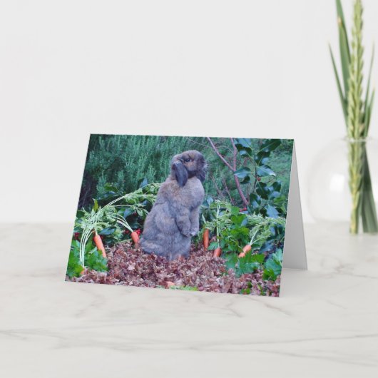 ラビットホリデーカード シーズンカード (正面)