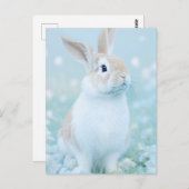 ラビットポートレート095 ポストカード (正面/裏面)
