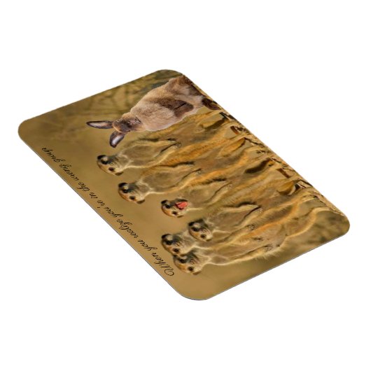 ラビットメおもしろいアーカート磁石 マグネット (右側)