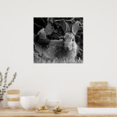 ラビットモノ ポスター (キッチン)