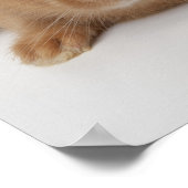 ラビット。オランダ小人。 ポスター (角)