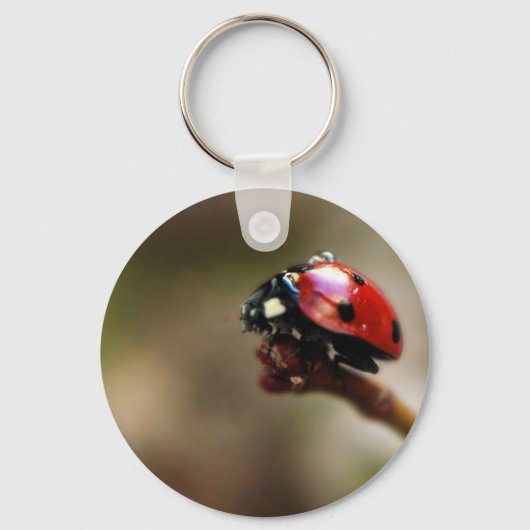 ラビバード キーホルダー (正面)