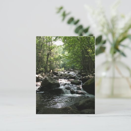 ラピッド ポストカード (スタンド正面)