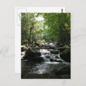 ラピッド ポストカード (正面/裏面)