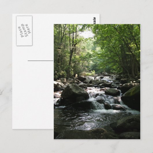 ラピッド ポストカード (正面/裏面)