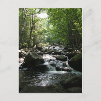 ラピッド ポストカード