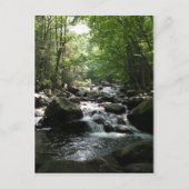 ラピッド ポストカード (正面)