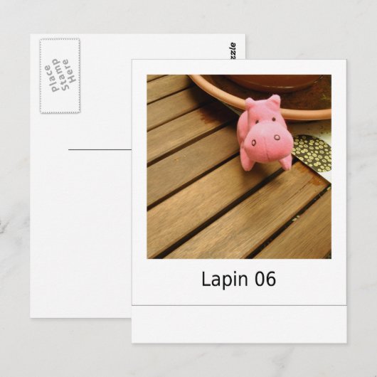 ラピン06 ポストカード (正面/裏面)