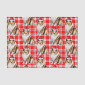 ラフなコリードッグクリスマスとホリデープレイド 薄葉紙 (正面)