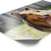 ラフなコートトリコラーコリードッグ フォトプリント (角)