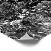 ラフの中のシボイ ポスター (角)