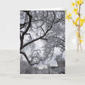 ラファイエットスクエア、雪の木 カード (黄色い花)