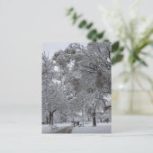 ラファイエット広場，ワシントンDC，冬の道 ポストカード (スタンド正面)