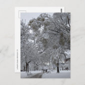 ラファイエット広場，ワシントンDC，冬の道 ポストカード (正面/裏面)
