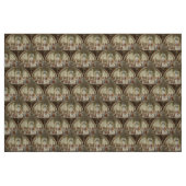 ラファエル – アテネ学校 ファブリック (ファットクウォーター)