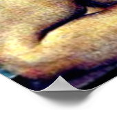 ラファエル：プッティ、シスチン・マドンナ詳細、 ポスター (角)