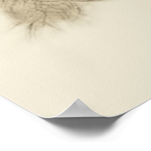 ラファエル ポスター (角)