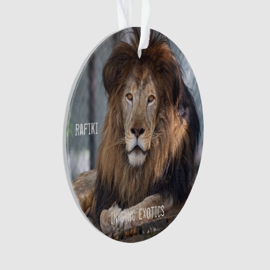 ラフィキ –  オーナメント (正面)