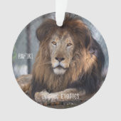 ラフィキ –  オーナメント (正面)