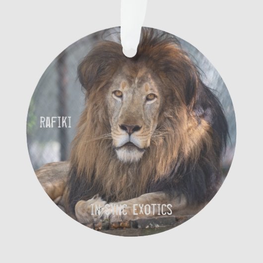 ラフィキ – オーナメント (正面)