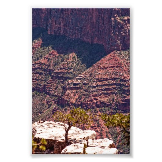 ラフィネスクの時計 フォトプリント            (正面)